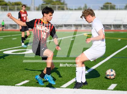 Thumbnail 1 in Pomona @ Northglenn photogallery.