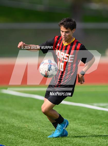 Thumbnail 1 in Pomona @ Northglenn photogallery.