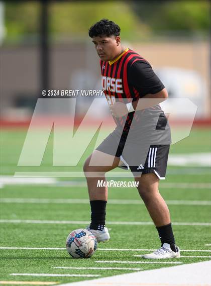 Thumbnail 1 in Pomona @ Northglenn photogallery.