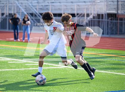 Thumbnail 1 in Pomona @ Northglenn photogallery.