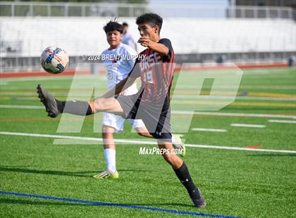 Thumbnail 1 in Pomona @ Northglenn photogallery.