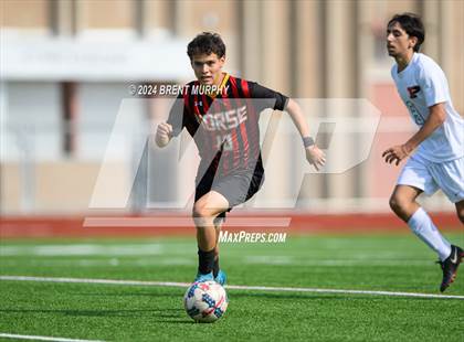 Thumbnail 1 in Pomona @ Northglenn photogallery.