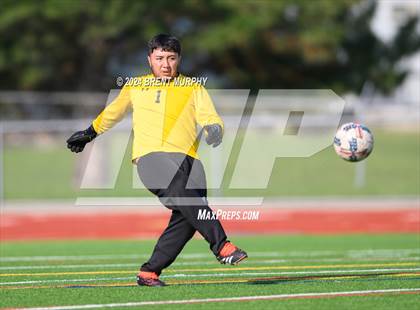 Thumbnail 2 in Pomona @ Northglenn photogallery.
