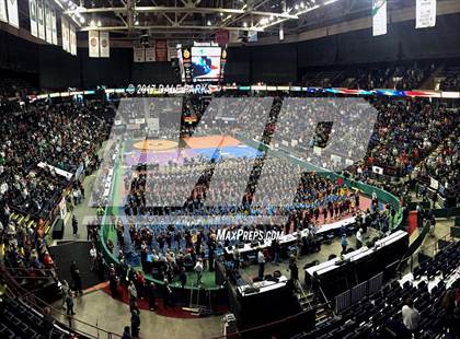 Thumbnail 1 in NYSPHSAA Wrestling Championships (Div.2 - 170 lb. Champ)  photogallery.