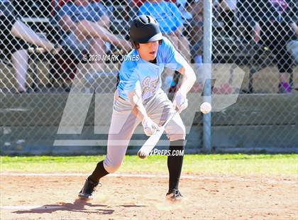 Thumbnail 2 in Horizon Honors vs. Bourgade Catholic (Desert Classic) photogallery.