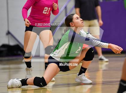 Thumbnail 3 in Kennedy @ Littleton photogallery.