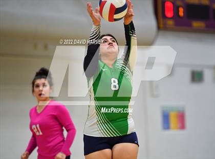 Thumbnail 1 in Kennedy @ Littleton photogallery.