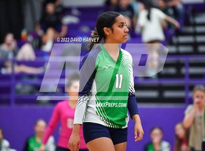 Thumbnail 1 in Kennedy @ Littleton photogallery.