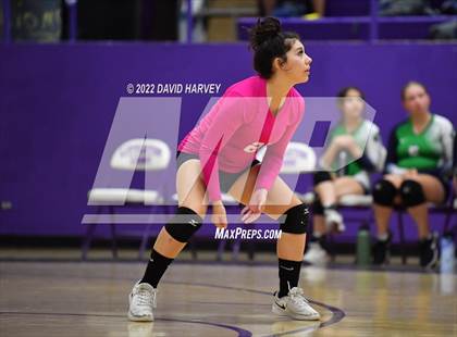 Thumbnail 3 in Kennedy @ Littleton photogallery.