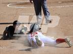 Photo from the gallery "Knight @ Highland"