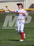 Photo from the gallery "Knight @ Highland"
