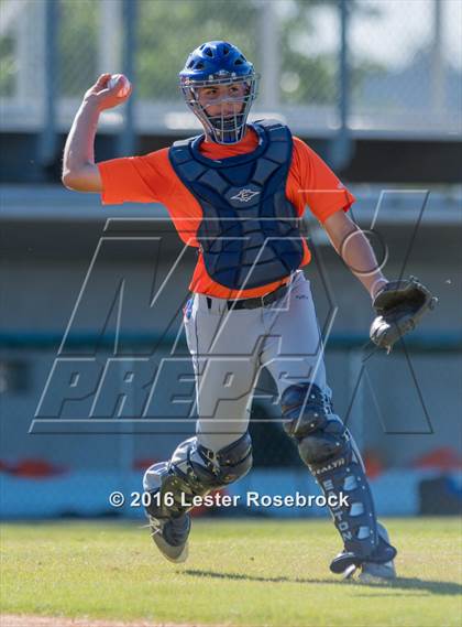 Thumbnail 1 in Brandeis vs Jay photogallery.