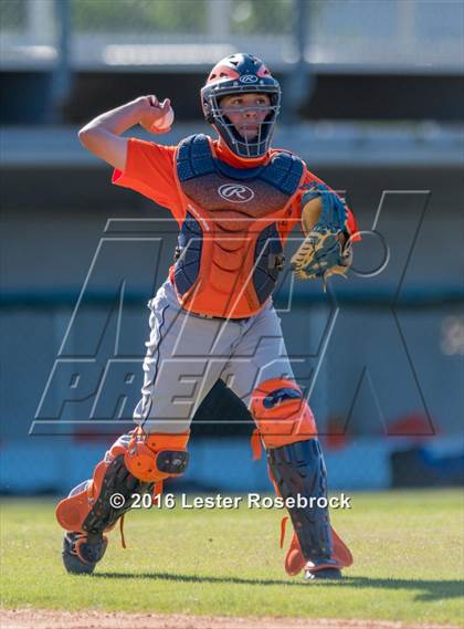 Thumbnail 3 in Brandeis vs Jay photogallery.