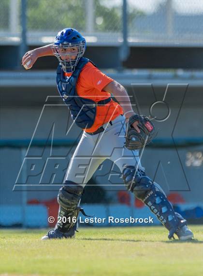 Thumbnail 1 in Brandeis vs Jay photogallery.