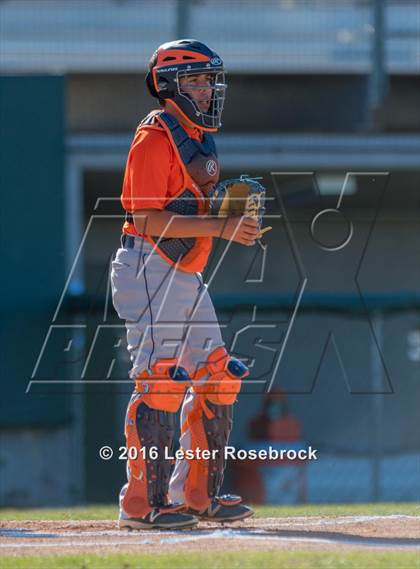 Thumbnail 1 in Brandeis vs Jay photogallery.