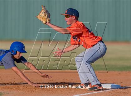 Thumbnail 2 in Brandeis vs Jay photogallery.