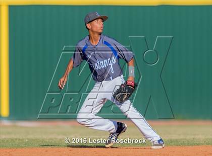 Thumbnail 1 in Brandeis vs Jay photogallery.