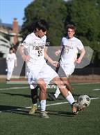 Photo from the gallery "Foothill @ Canyon"