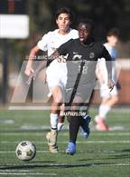 Photo from the gallery "Foothill @ Canyon"