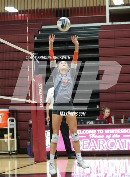 Thumbnail 3 in Celina @ Whitesboro photogallery.