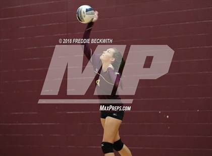 Thumbnail 3 in Celina @ Whitesboro photogallery.