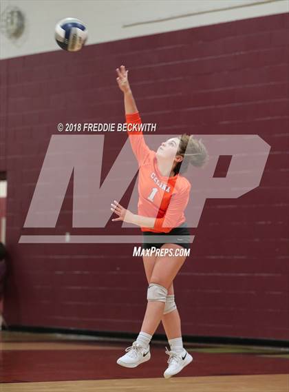 Thumbnail 2 in Celina @ Whitesboro photogallery.