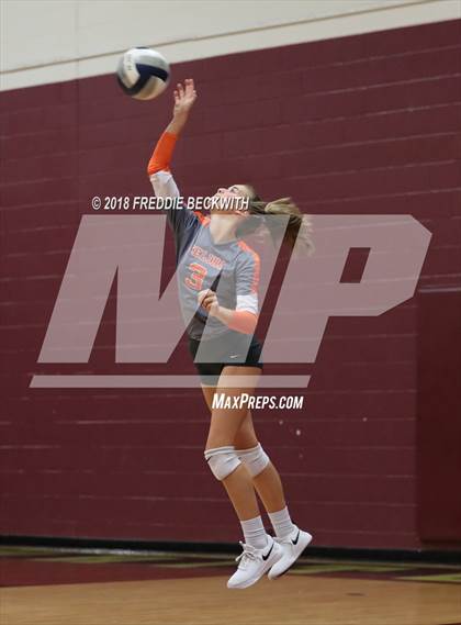 Thumbnail 3 in Celina @ Whitesboro photogallery.