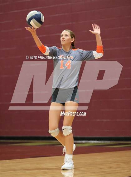 Thumbnail 2 in Celina @ Whitesboro photogallery.