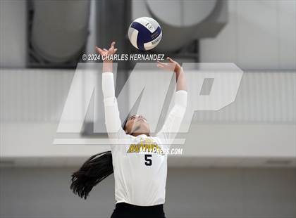Thumbnail 1 in Academy of Central Florida National vs. Cypress Christian (Aggieland Come and Take It Regional Showdown) photogallery.