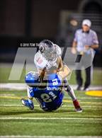 Photo from the gallery "Orion @ Newman Central Catholic"