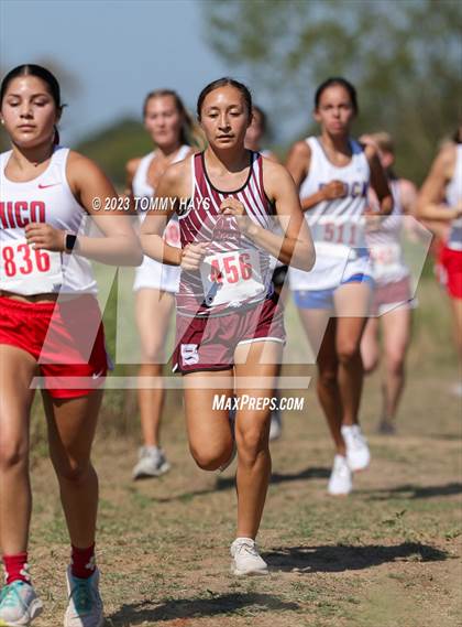 Thumbnail 1 in Brock Girls Cross Country Meet photogallery.