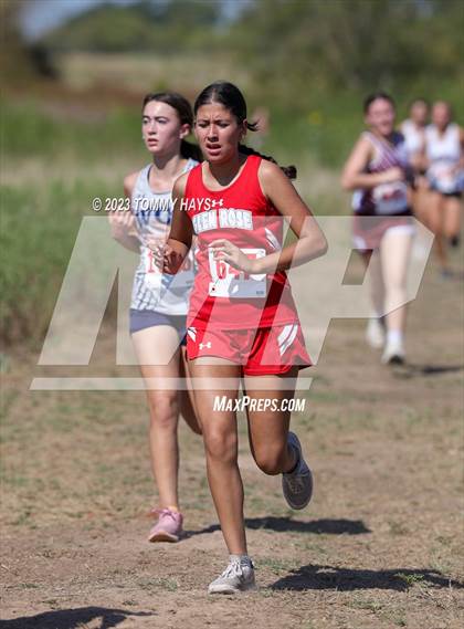 Thumbnail 2 in Brock Girls Cross Country Meet photogallery.