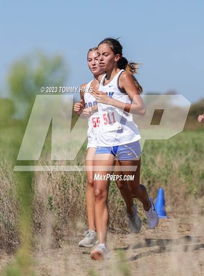 Thumbnail 2 in Brock Girls Cross Country Meet photogallery.