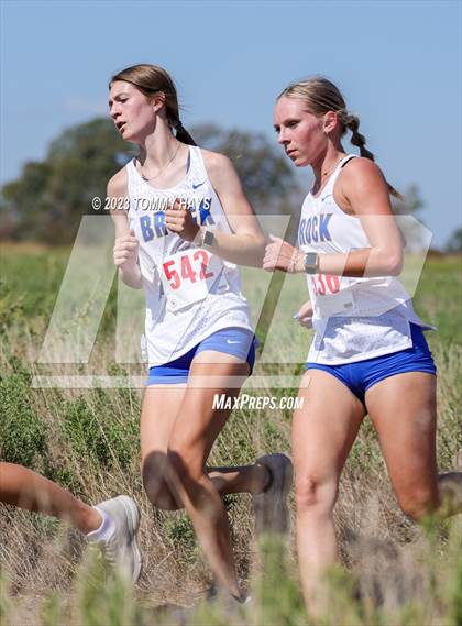 Thumbnail 2 in Brock Girls Cross Country Meet photogallery.