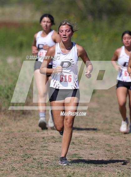 Thumbnail 3 in Brock Girls Cross Country Meet photogallery.