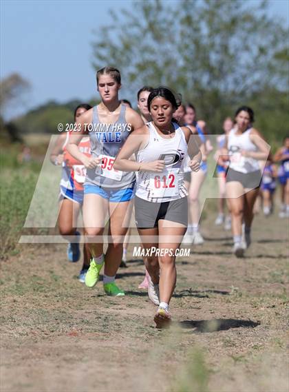 Thumbnail 3 in Brock Girls Cross Country Meet photogallery.