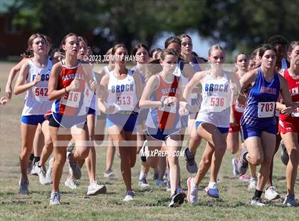 Thumbnail 1 in Brock Girls Cross Country Meet photogallery.