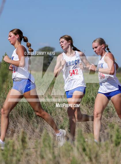 Thumbnail 1 in Brock Girls Cross Country Meet photogallery.