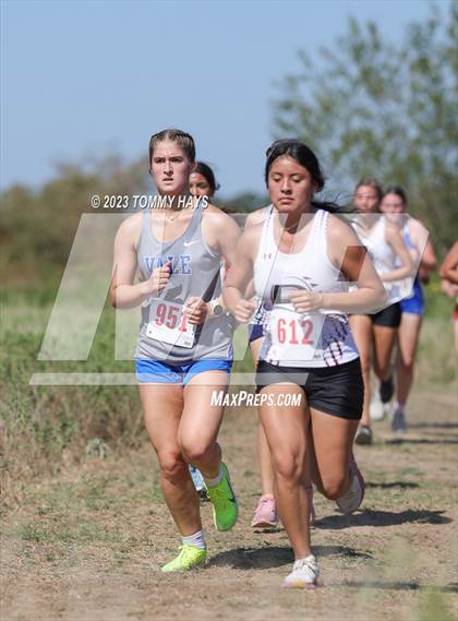 Thumbnail 1 in Brock Girls Cross Country Meet photogallery.