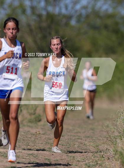 Thumbnail 1 in Brock Girls Cross Country Meet photogallery.