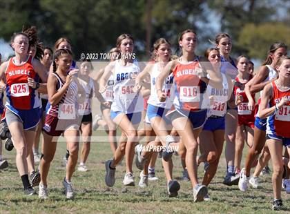 Thumbnail 3 in Brock Girls Cross Country Meet photogallery.