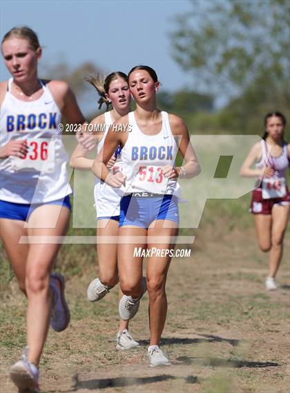 Thumbnail 3 in Brock Girls Cross Country Meet photogallery.