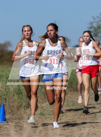Thumbnail 1 in Brock Girls Cross Country Meet photogallery.