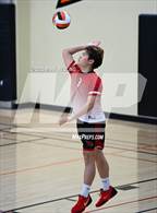Photo from the gallery "Lowell @ San Mateo"