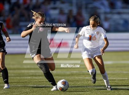 Thumbnail 3 in Brighton vs. Bountiful (UHSAA 5A Semifinals) photogallery.