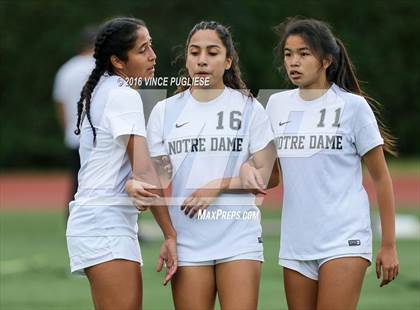 Thumbnail 1 in El Camino Real @ Notre Dame (SO) photogallery.
