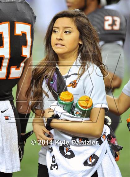 Thumbnail 1 in Aledo vs. Temple (UIL 5A Division 1 Final)  photogallery.
