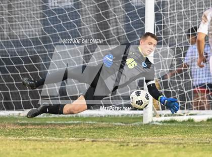 Thumbnail 3 in Lee vs Johnson photogallery.