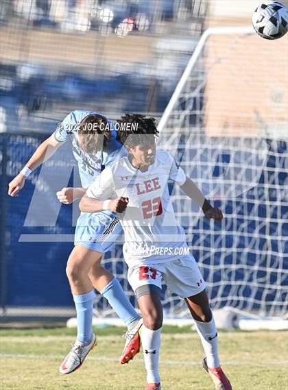 Thumbnail 3 in Lee vs Johnson photogallery.