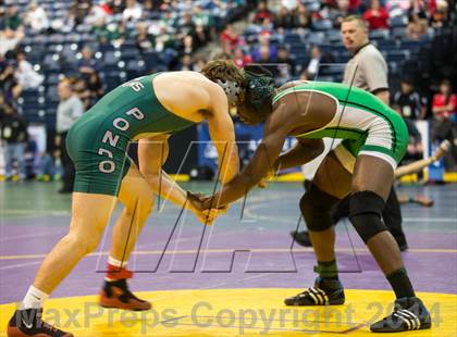 Thumbnail 1 in CIF SJS Masters Wrestling Championships photogallery.